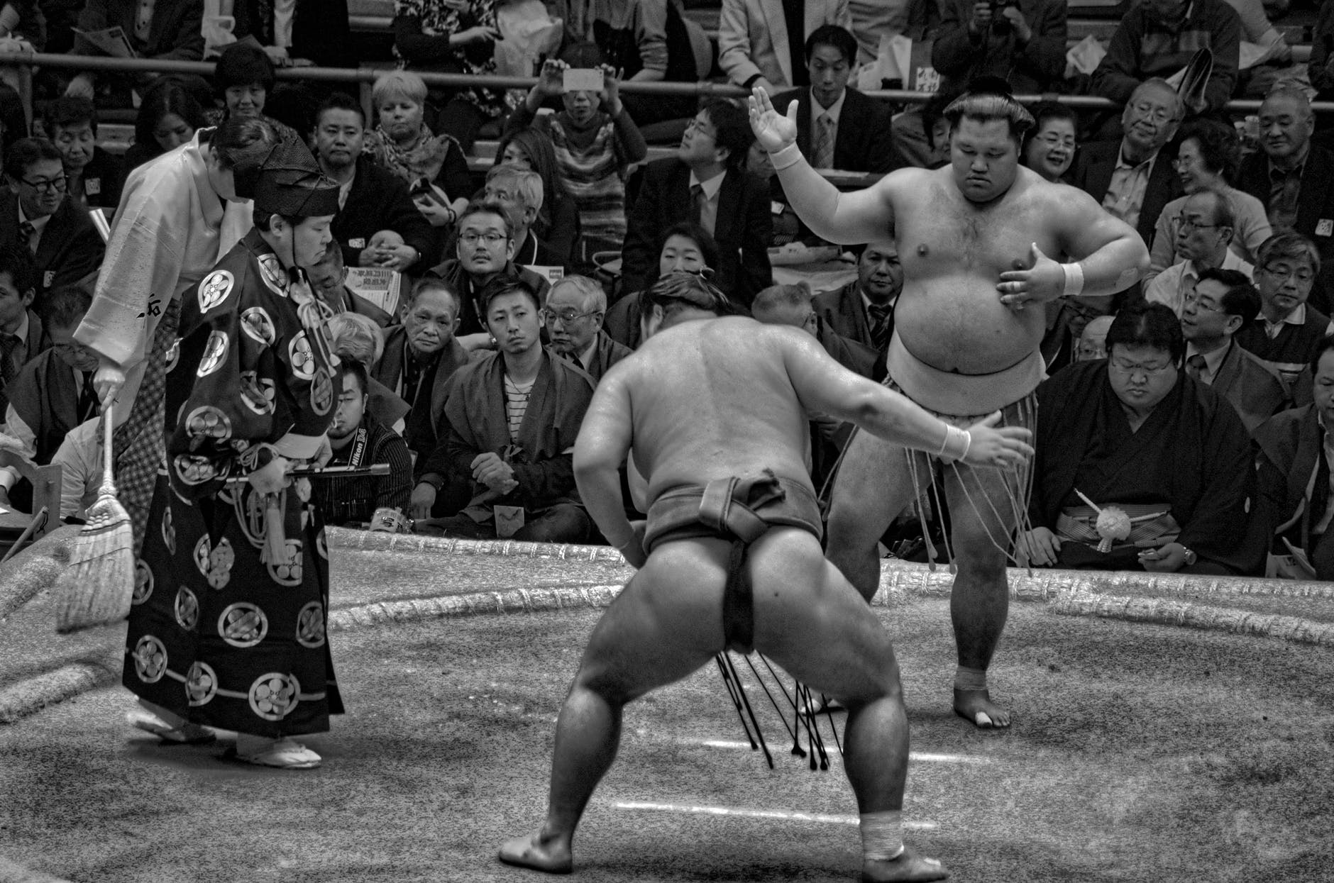 Origins of Sumo